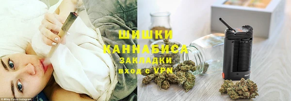 ПСИЛОЦИБИНОВЫЕ ГРИБЫ Арсеньев