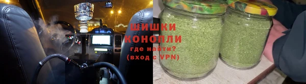 ПСИЛОЦИБИНОВЫЕ ГРИБЫ Арсеньев