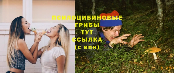 ПСИЛОЦИБИНОВЫЕ ГРИБЫ Арсеньев